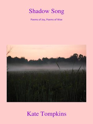 cover image of Shadow Song